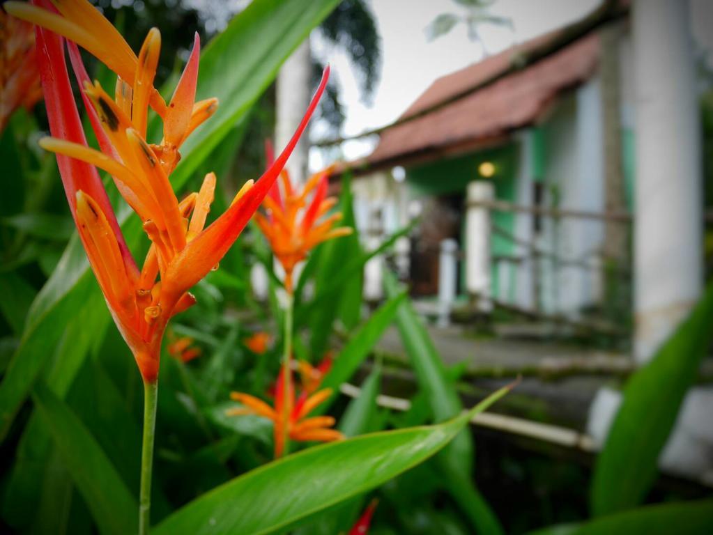 Arcadian Resort Ao Nang Kültér fotó